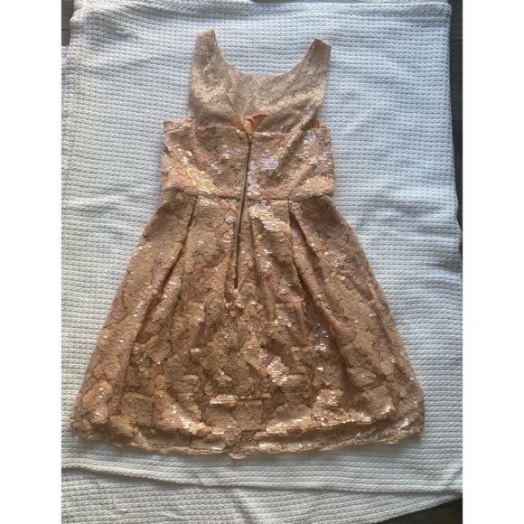 Blush and Gold Sequined Anthropologie Dress - Picture 4 of 4